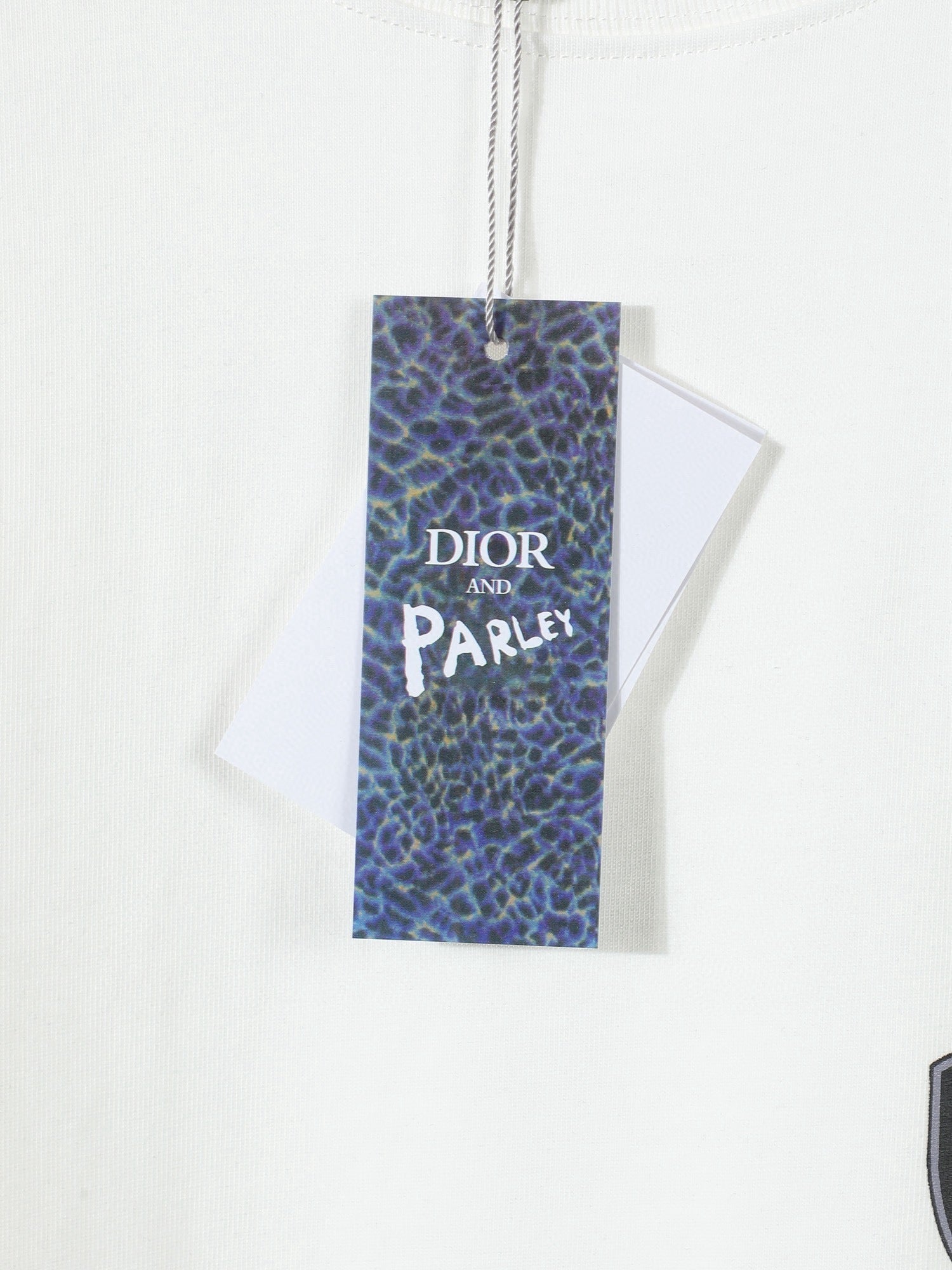Dior - T-shirt mountain Relaxed fit