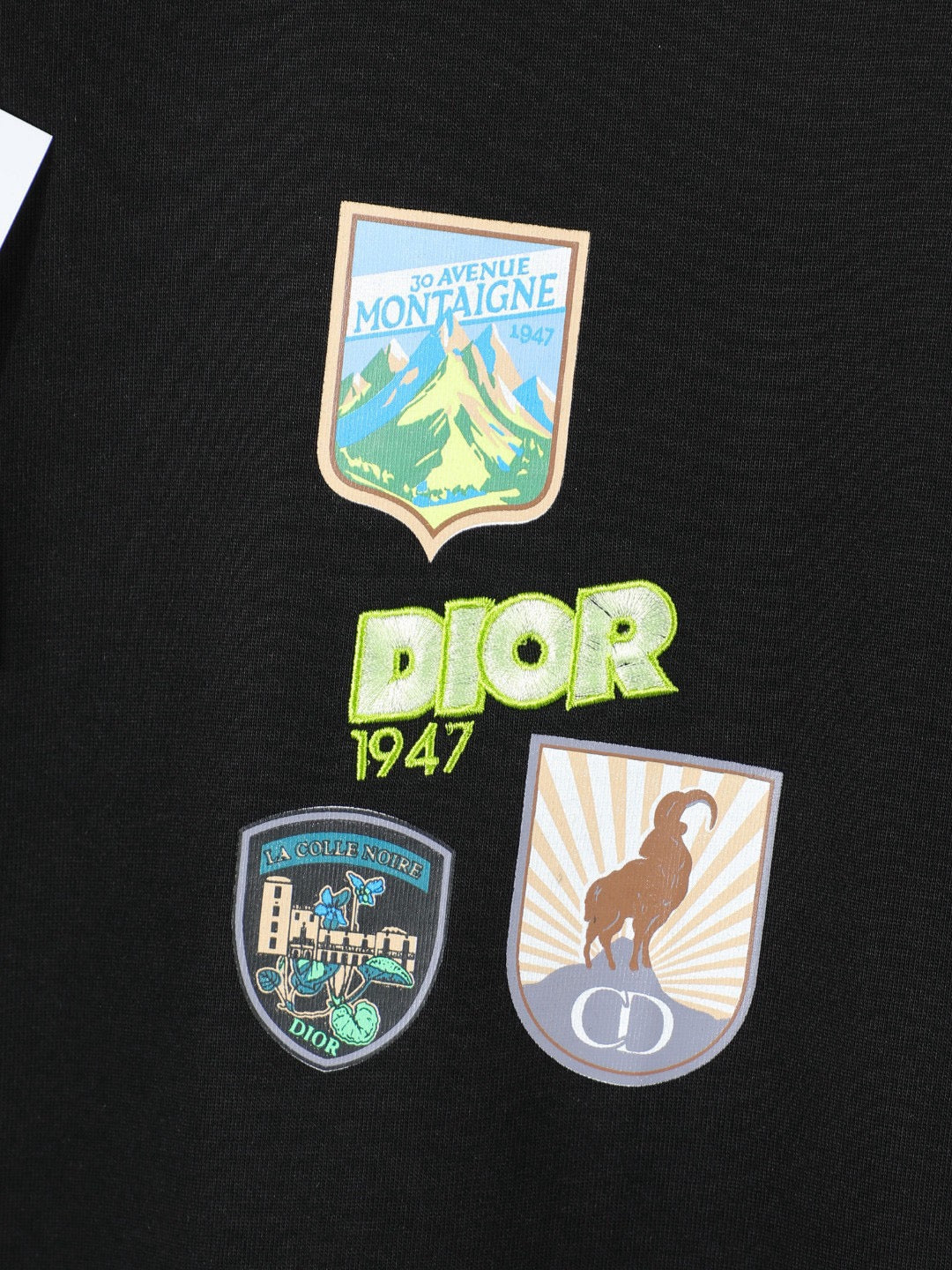 Dior - T-shirt mountain Relaxed fit